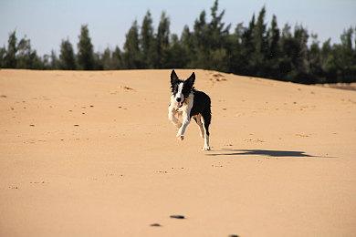 恋爱冒险名作《TRINOLINE》确定9月28日登陆Switch